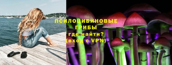 твердый Новодвинск