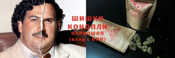 PSILOCYBIN Новокубанск