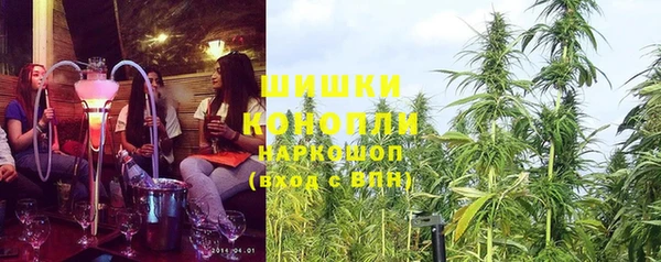 твердый Новодвинск