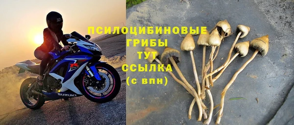 спиды Нефтекумск