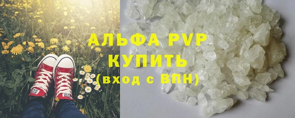 твердый Новодвинск