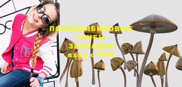 спиды Нефтекумск