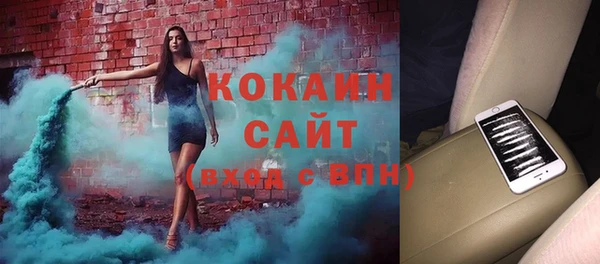 твердый Новодвинск