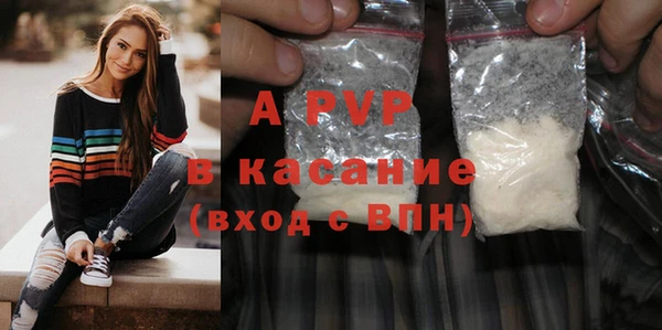 твердый Новодвинск