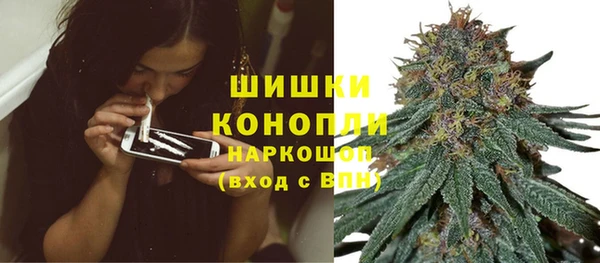 PSILOCYBIN Новокубанск