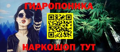 ПСИЛОЦИБИНОВЫЕ ГРИБЫ Гусев