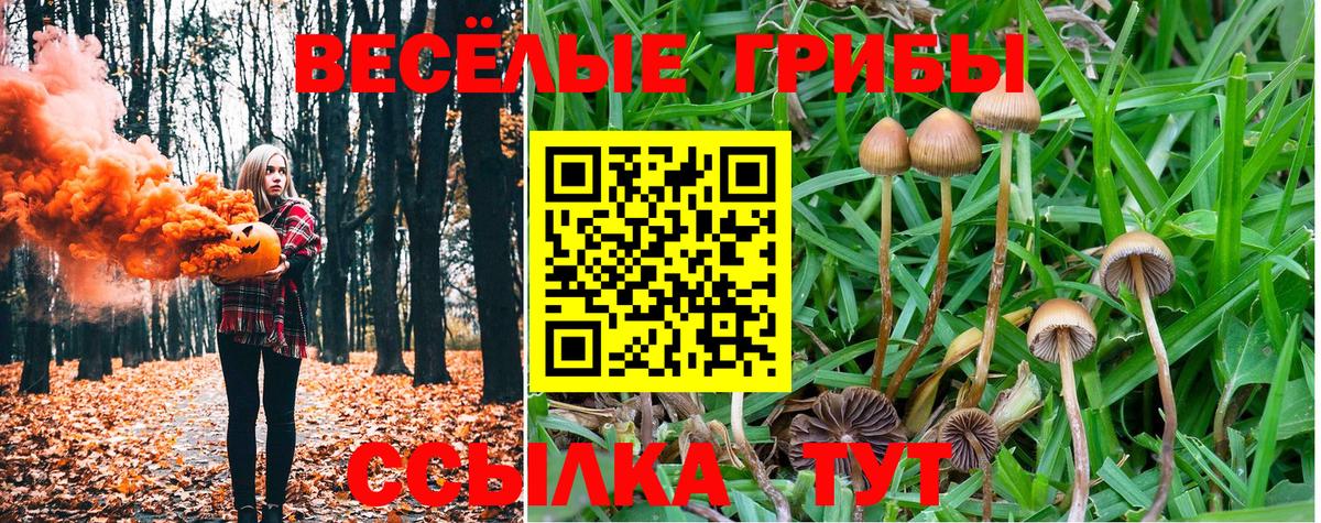 Майский  Псилоцибиновые грибы мухоморы  Вход с VPN 